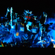 Illustration for article titled Apple TV vs. Vudu vs. Xbox 360: Video Download Battlemodo